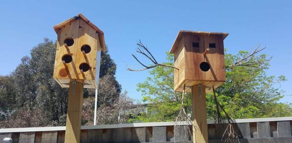 Guardian Bruce birdhouses