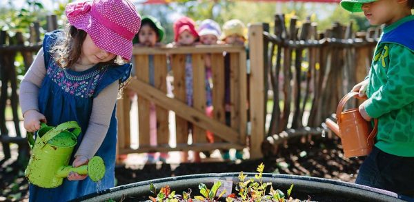 Paradise community garden