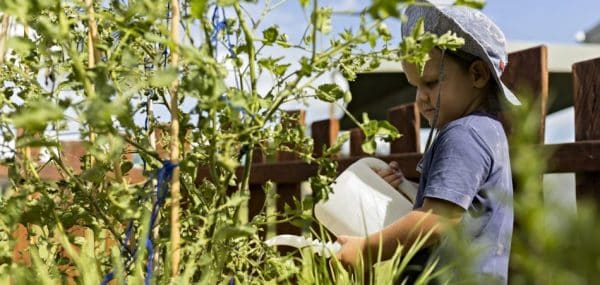 gardening at guardian