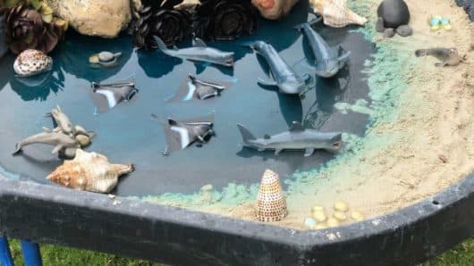 leopold-early-learning-whale-toys-1-600x400